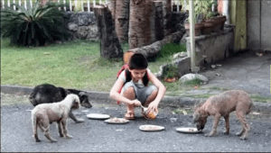 Screen-shot-2014-05-23-at-8.26.41-AM