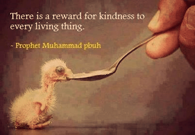 kindness